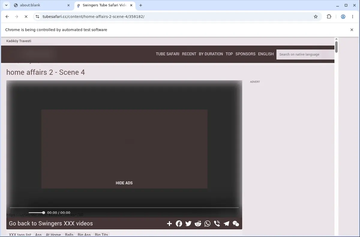 TubeSafari Video Downloader page open in the browser