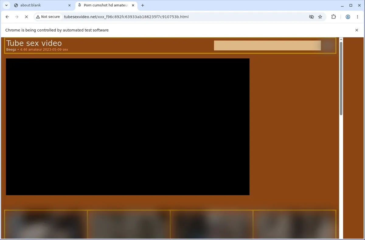 Tubesexvideo Video Downloader page open in the browser