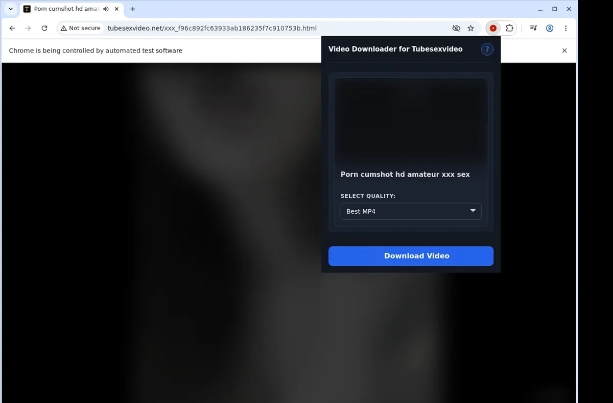 Tubesexvideo Video Downloader showing detected media ready to download