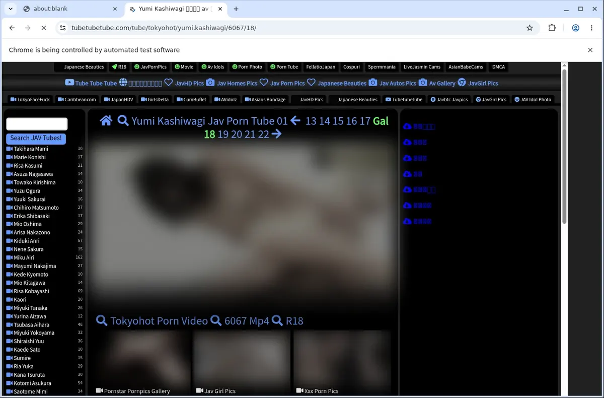 Tubetubetube Video Downloader page open in the browser