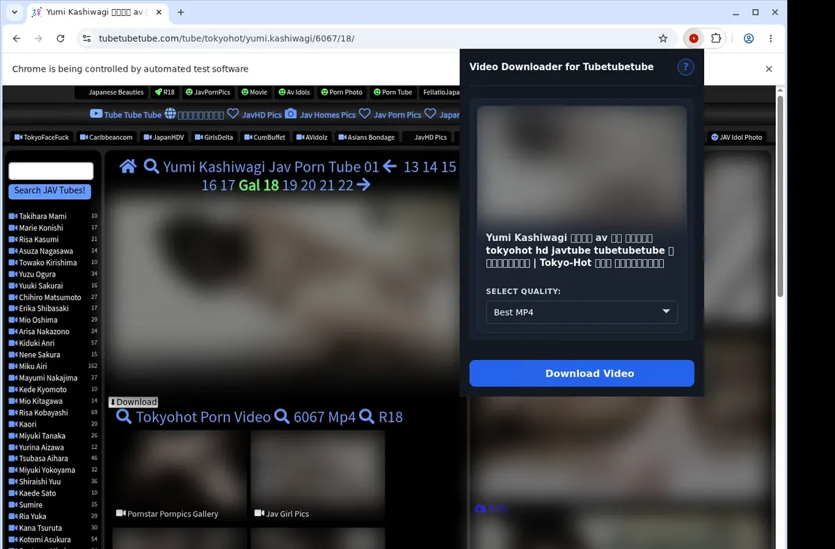 Tubetubetube Video Downloader showing detected media ready to download