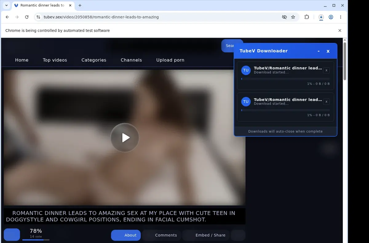 TubeV Downloader download progress panel