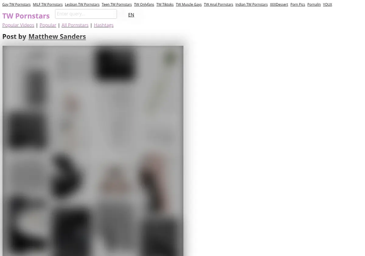 TW Pornstars Downloader page open in the browser