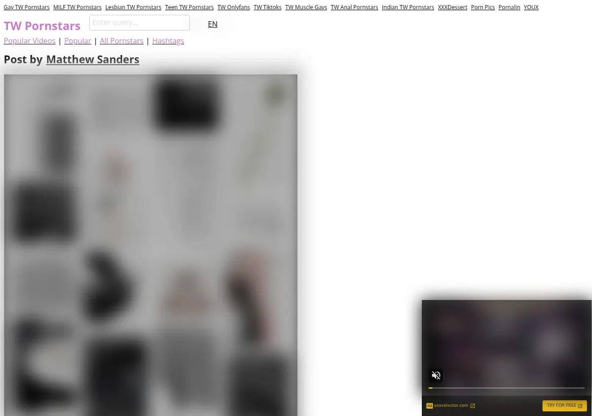 TW Pornstars Downloader showing detected media ready to download