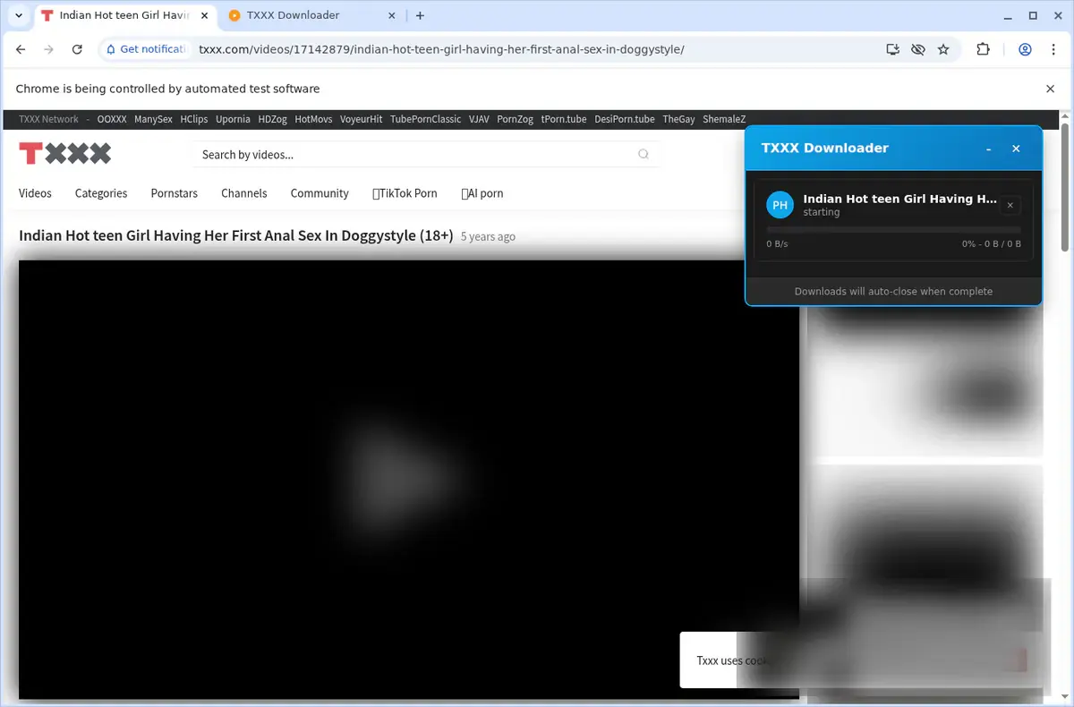 TXXX Video Downloader download progress panel