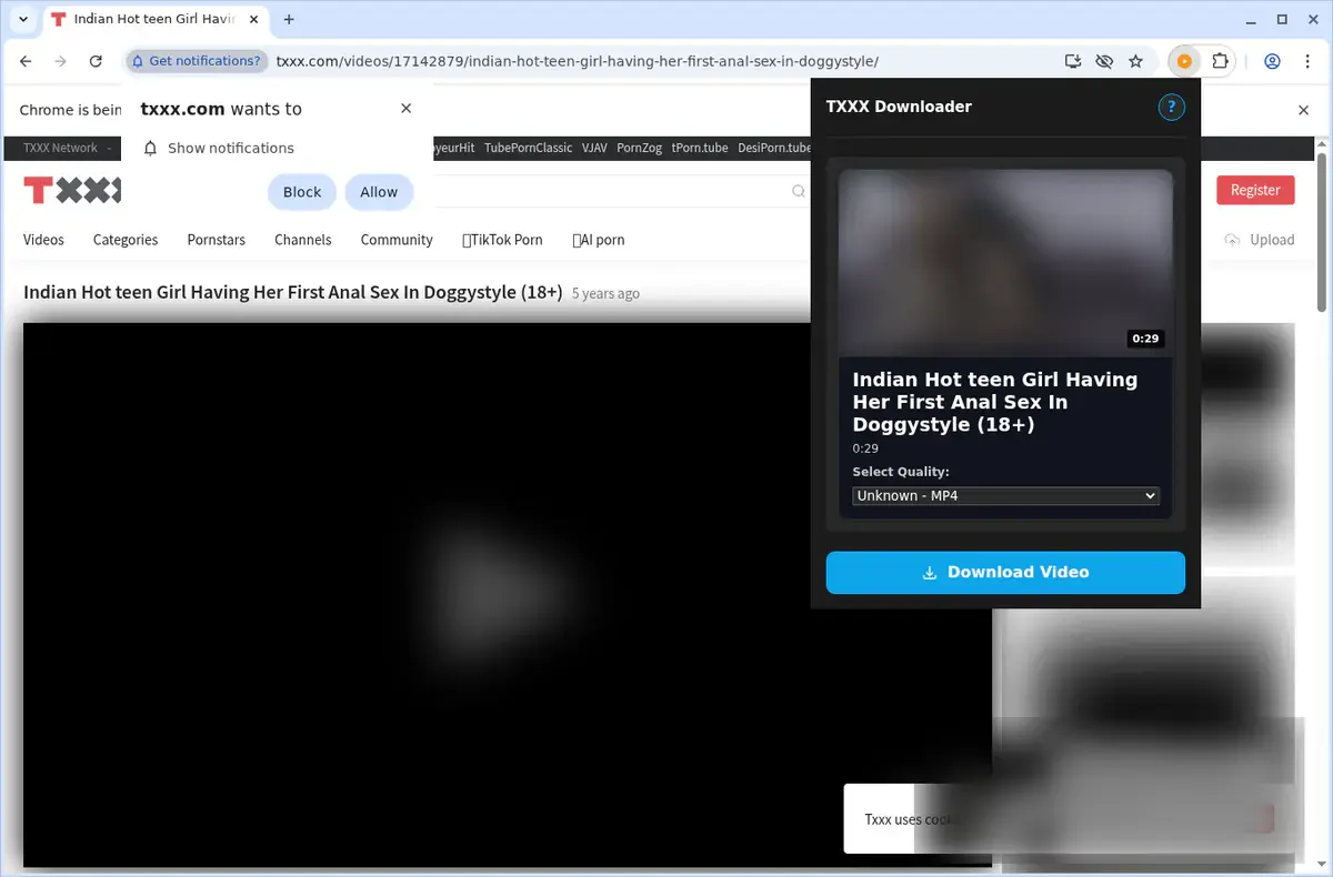 TXXX Video Downloader showing detected media ready to download