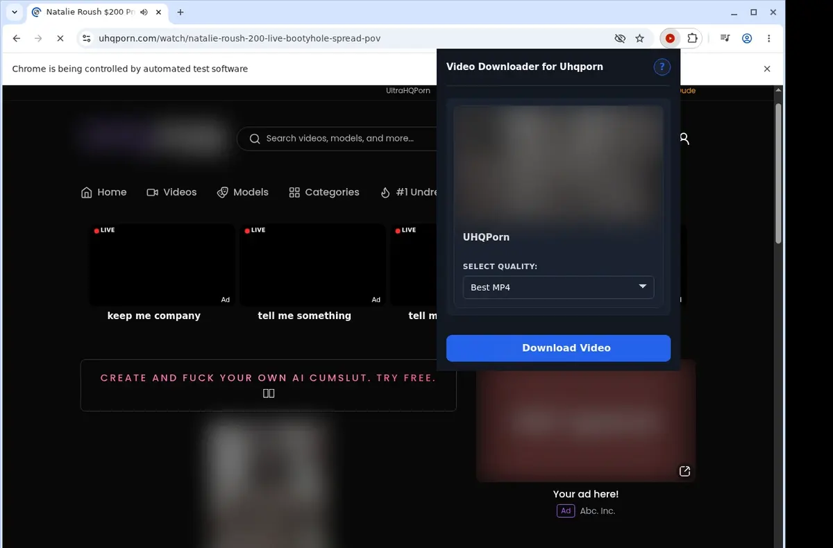 UHQPorn Video Downloader showing detected media ready to download
