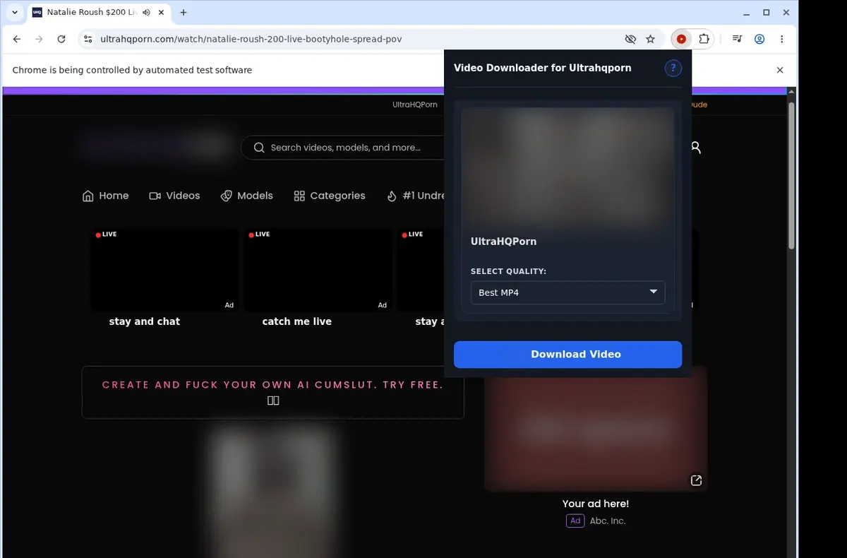 UltraHQPorn Video Downloader showing detected media ready to download