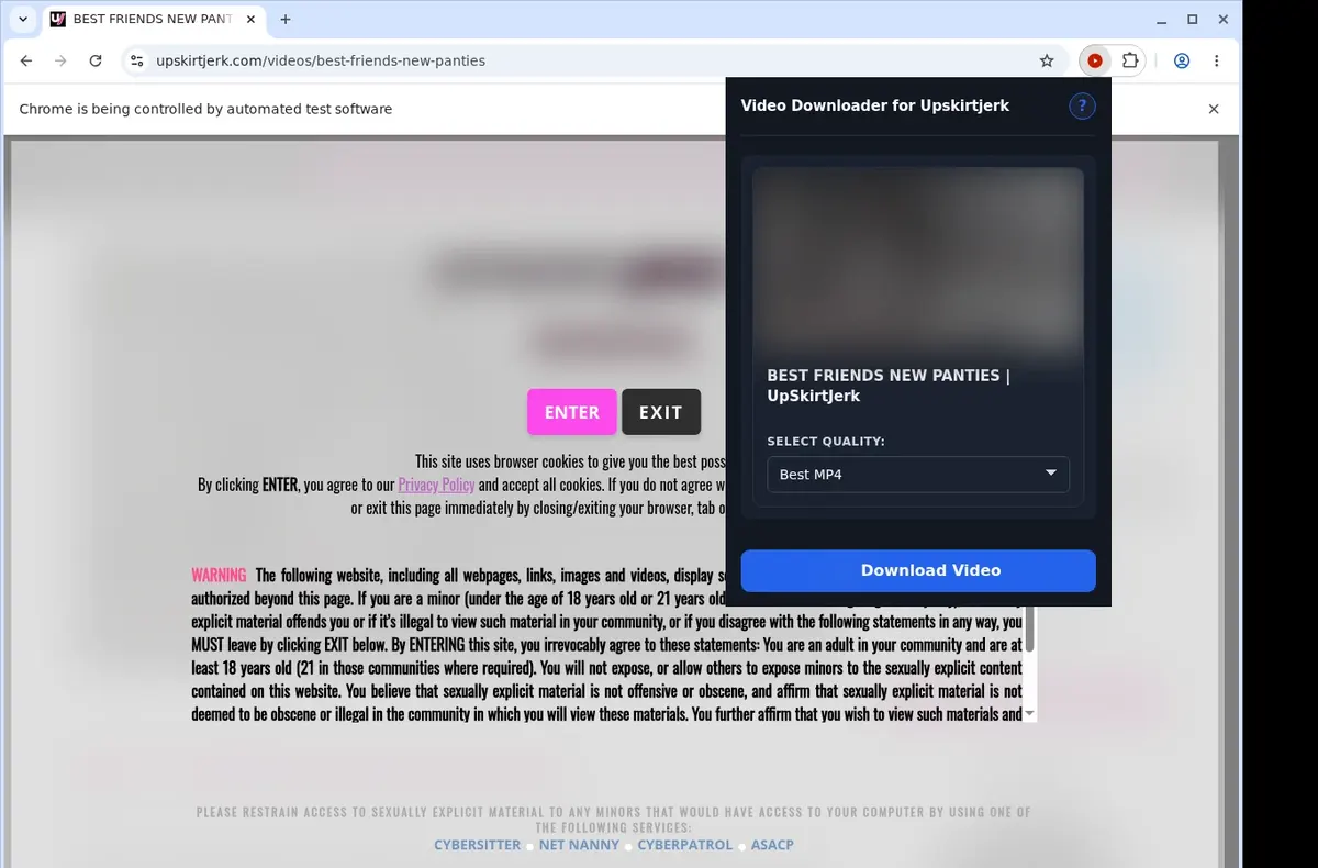 UpskirtJerk Video Downloader showing detected media ready to download