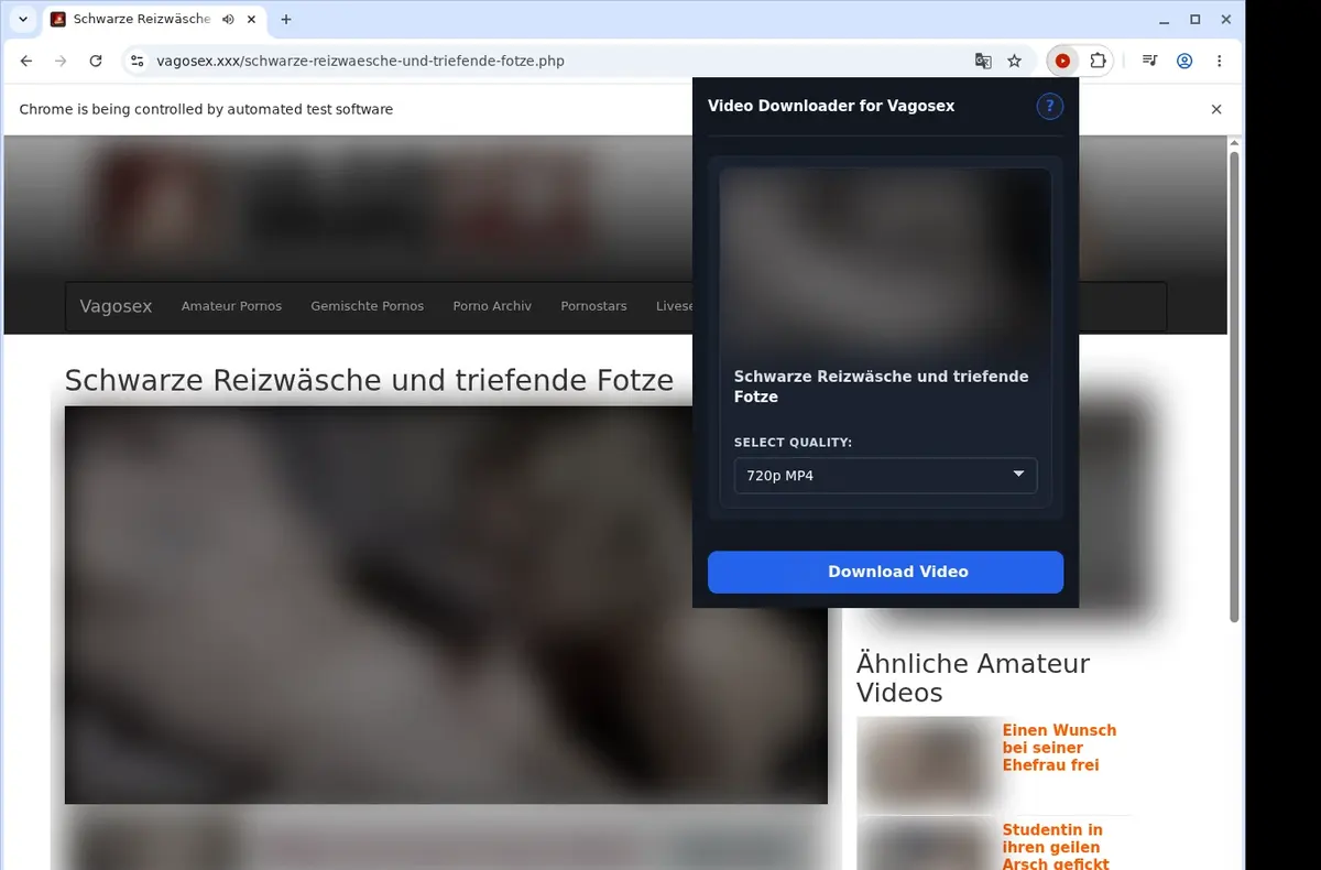 VagoSex Video Downloader showing detected media ready to download