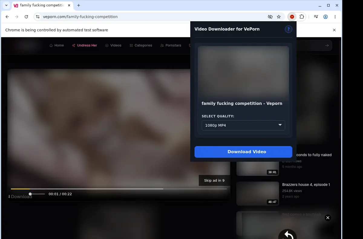VePorn Downloader showing detected media ready to download