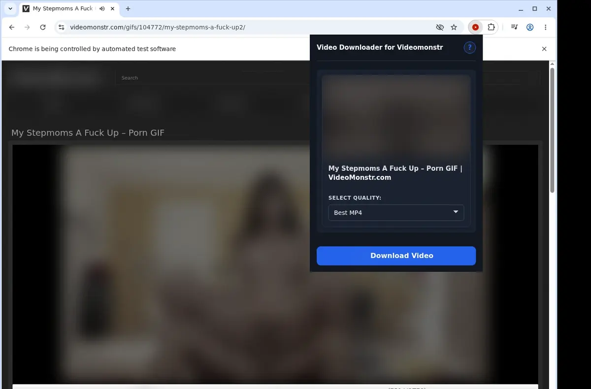 Videomonstr Downloader showing detected media ready to download