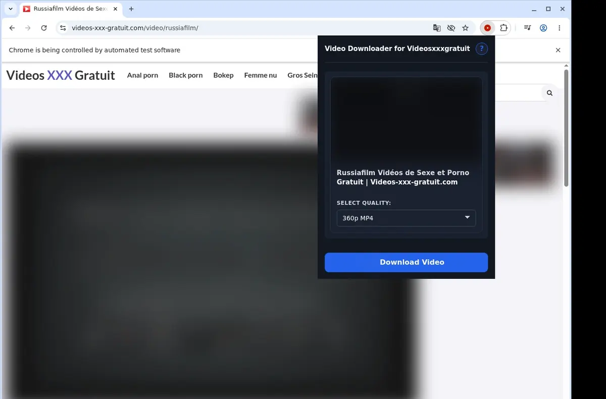Videosxxxgratuit Video Downloader showing detected media ready to download