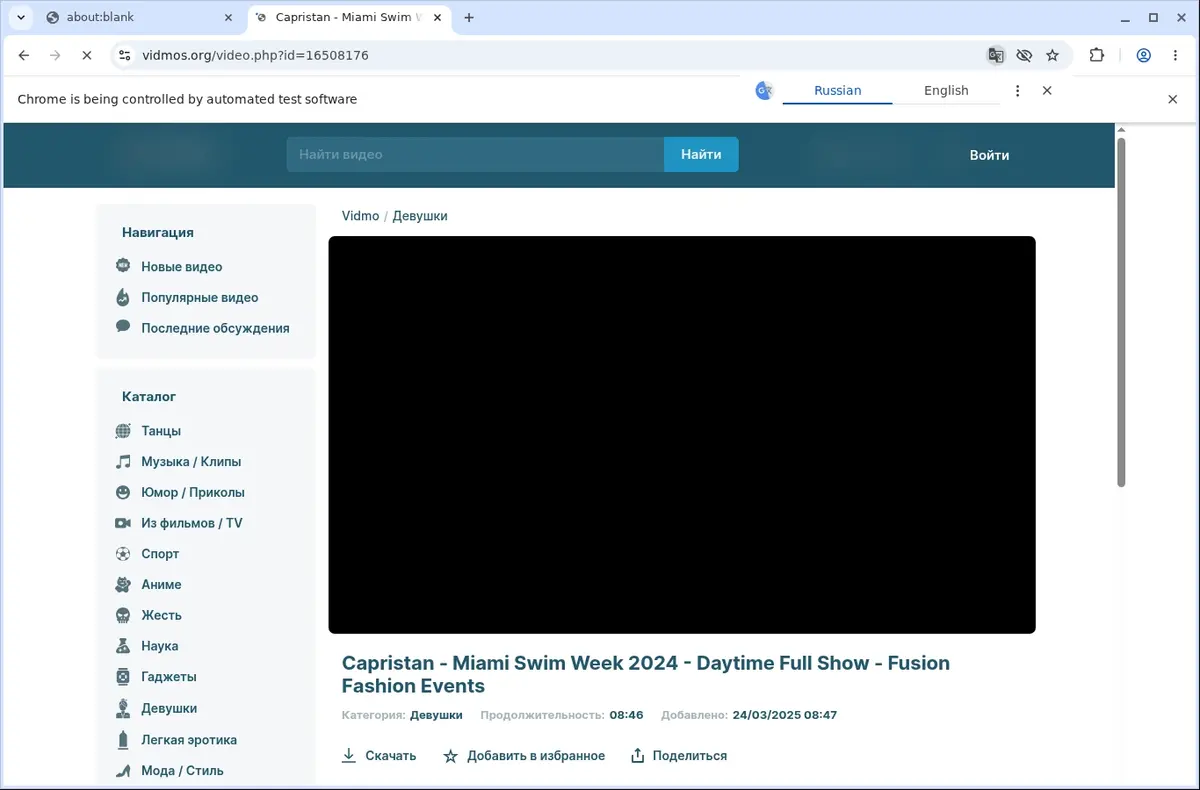 Vidmos Video Downloader page open in the browser