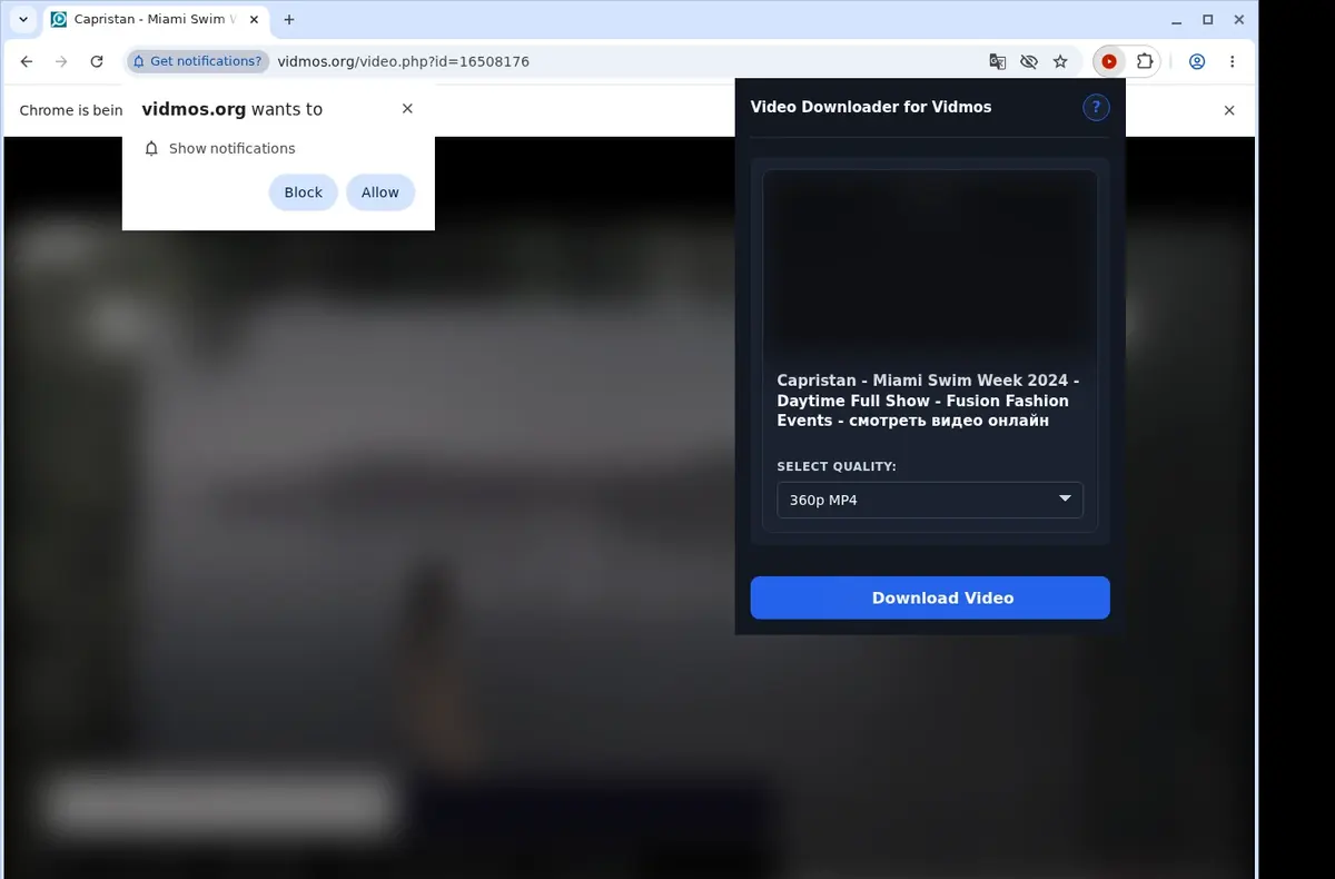 Vidmos Video Downloader showing detected media ready to download