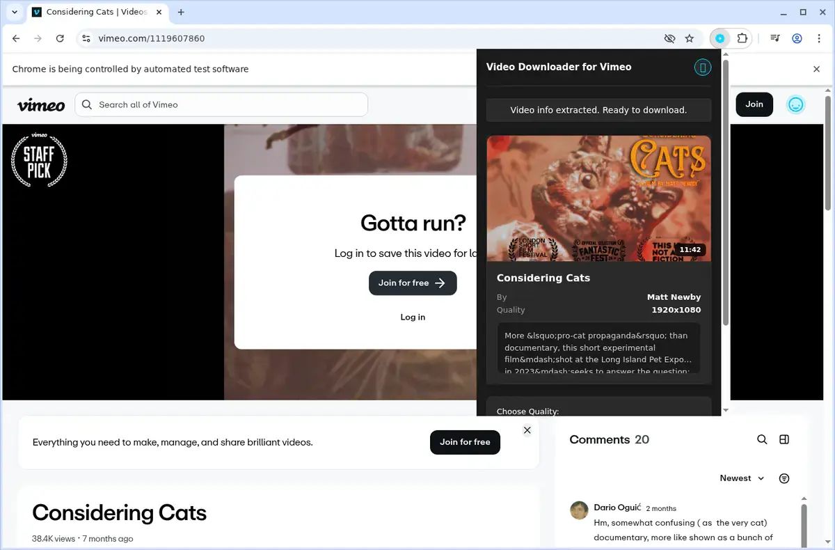 Vimeo Video Downloader showing detected media ready to download