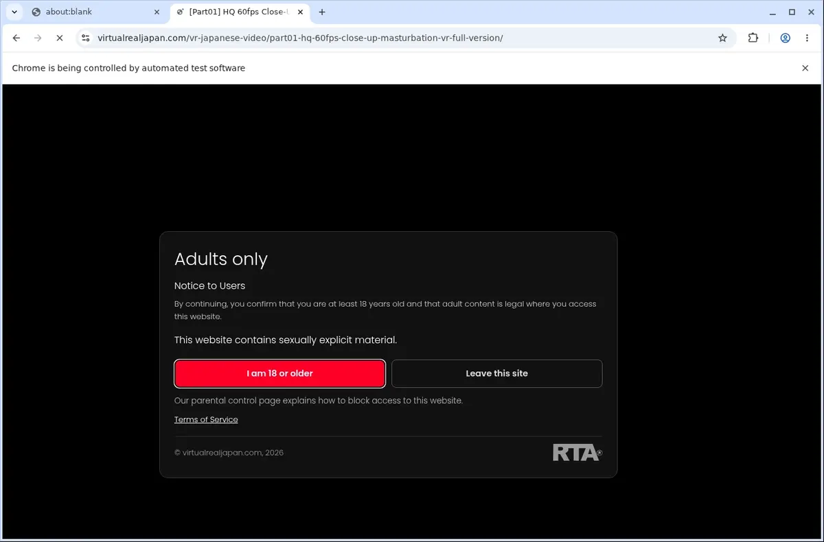 VirtualRealJapan Video Downloader page open in the browser