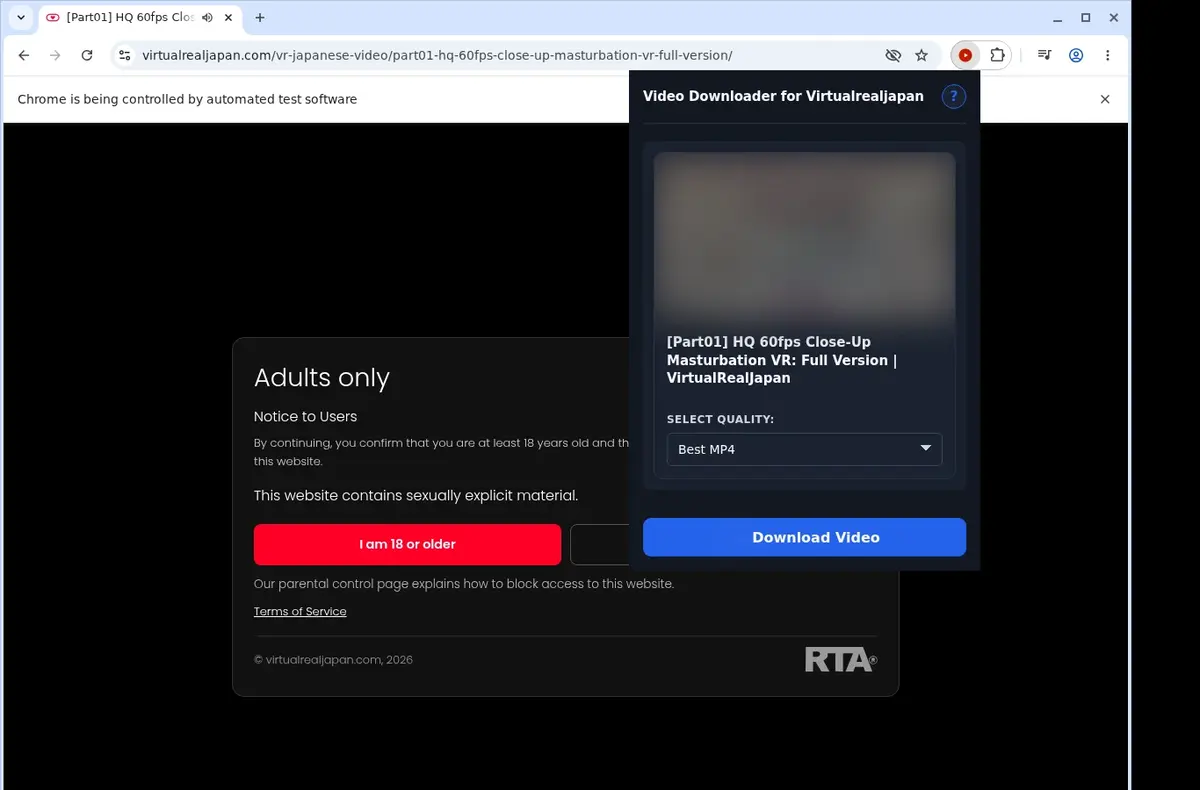 VirtualRealJapan Video Downloader showing detected media ready to download