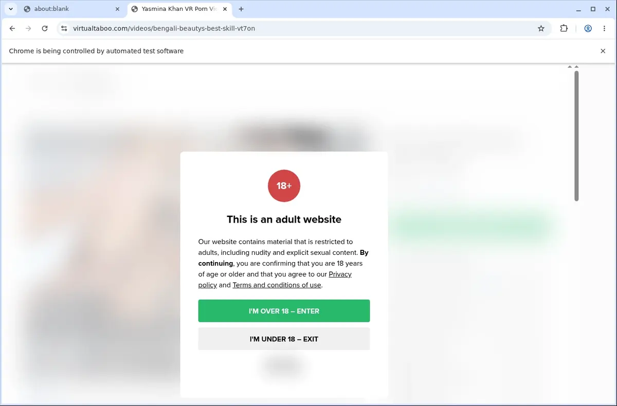 VirtualTaboo Video Downloader page open in the browser