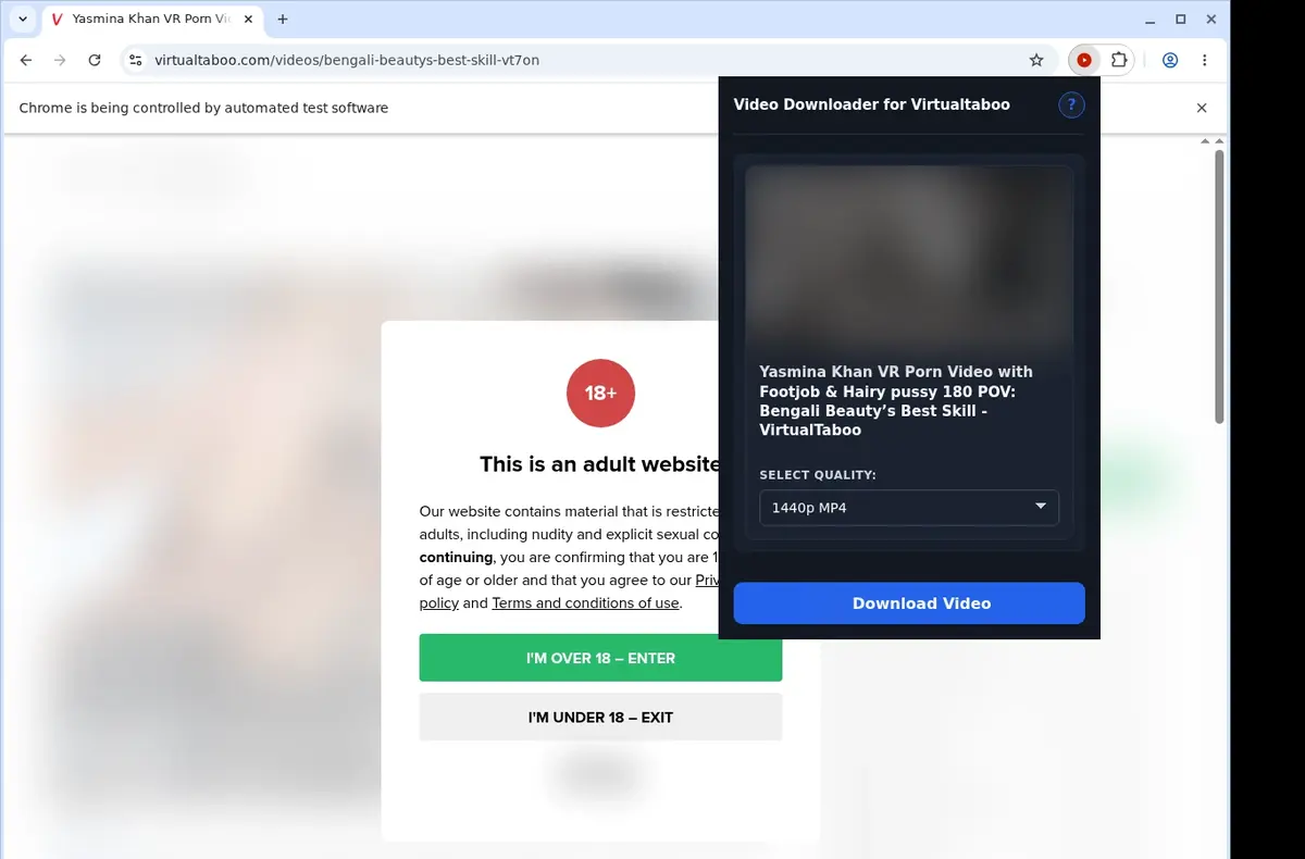 VirtualTaboo Video Downloader showing detected media ready to download