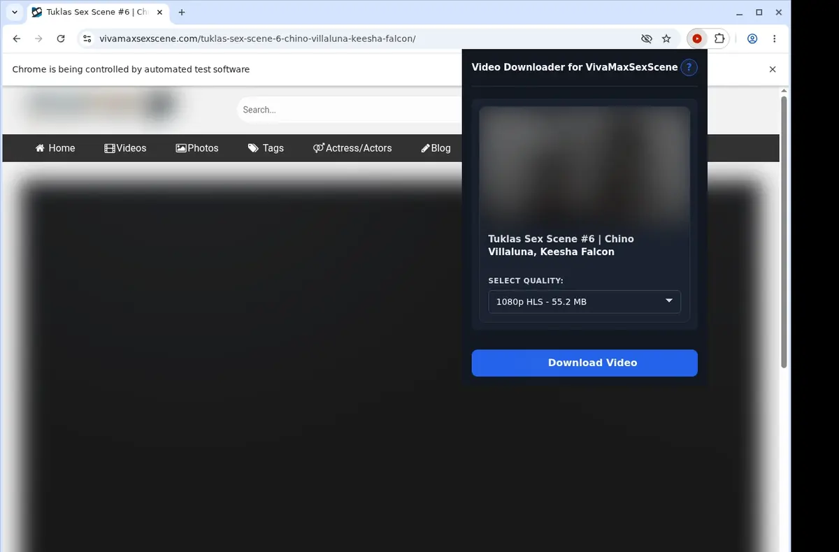 VivaMaxSexScene Downloader showing detected media ready to download