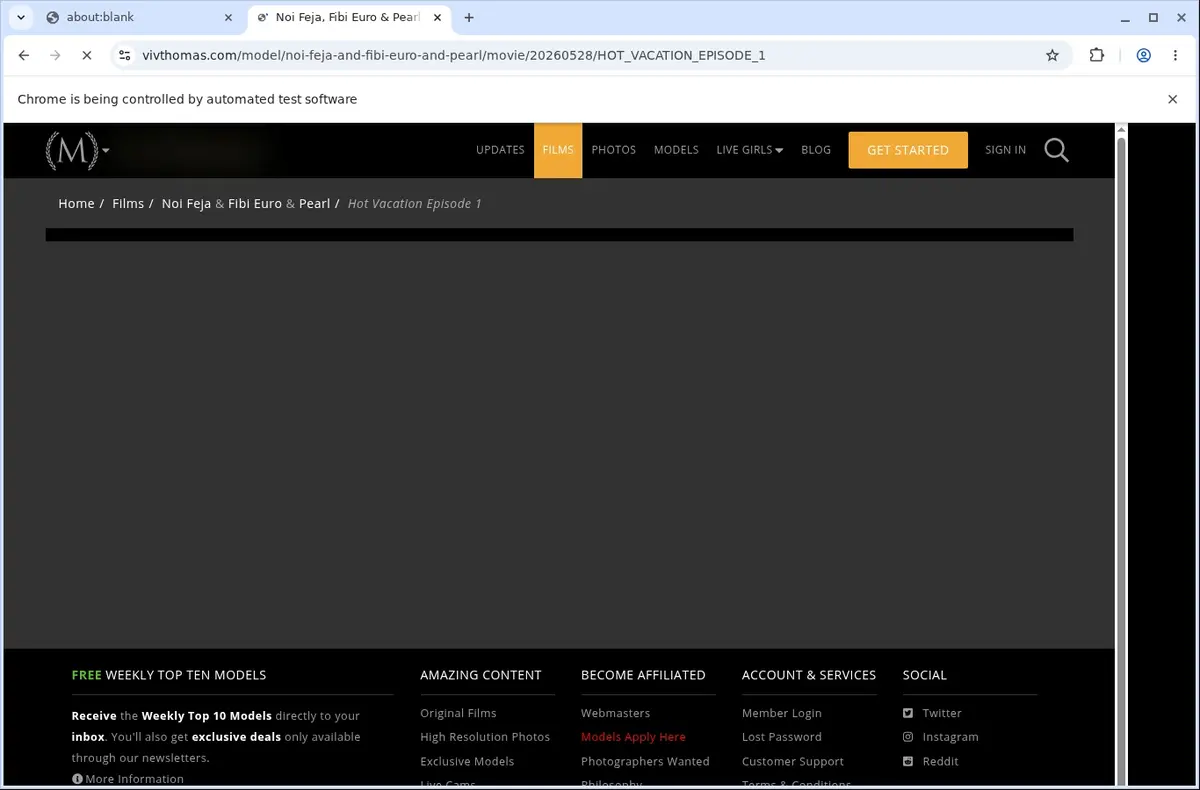 VivThomas Video Downloader page open in the browser