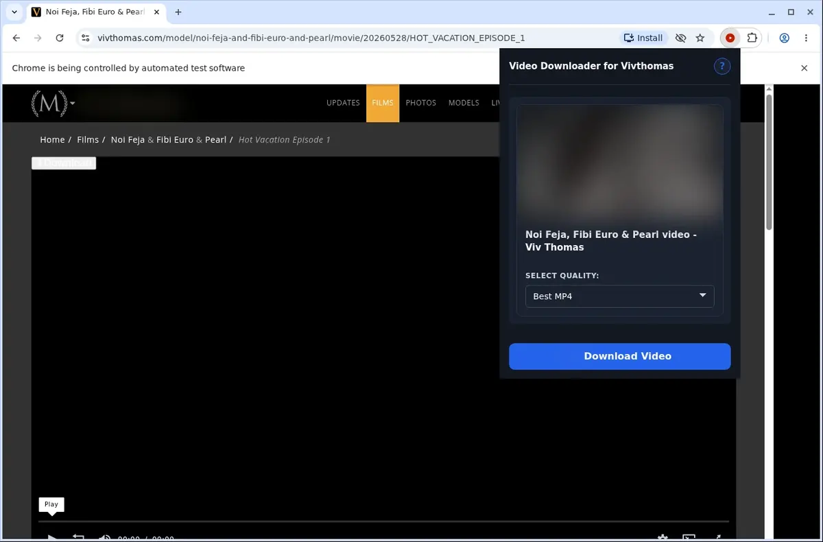 VivThomas Video Downloader showing detected media ready to download