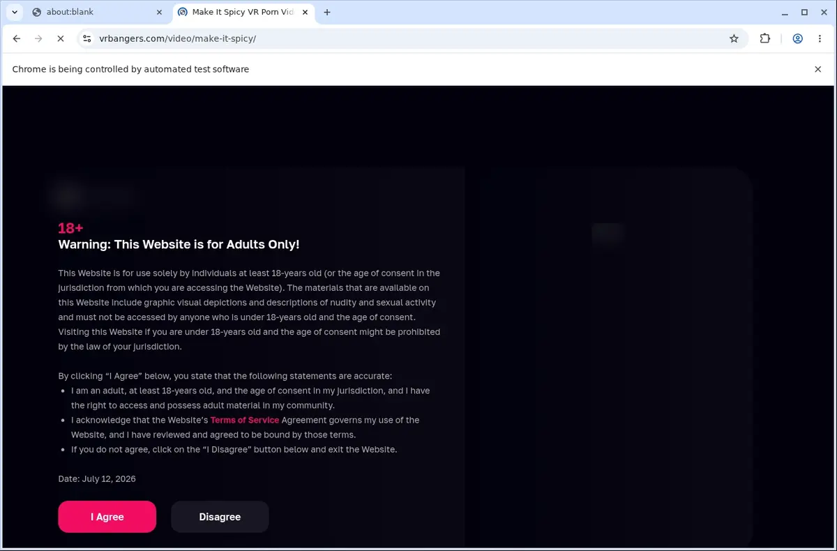 VRBangers Video Downloader page open in the browser