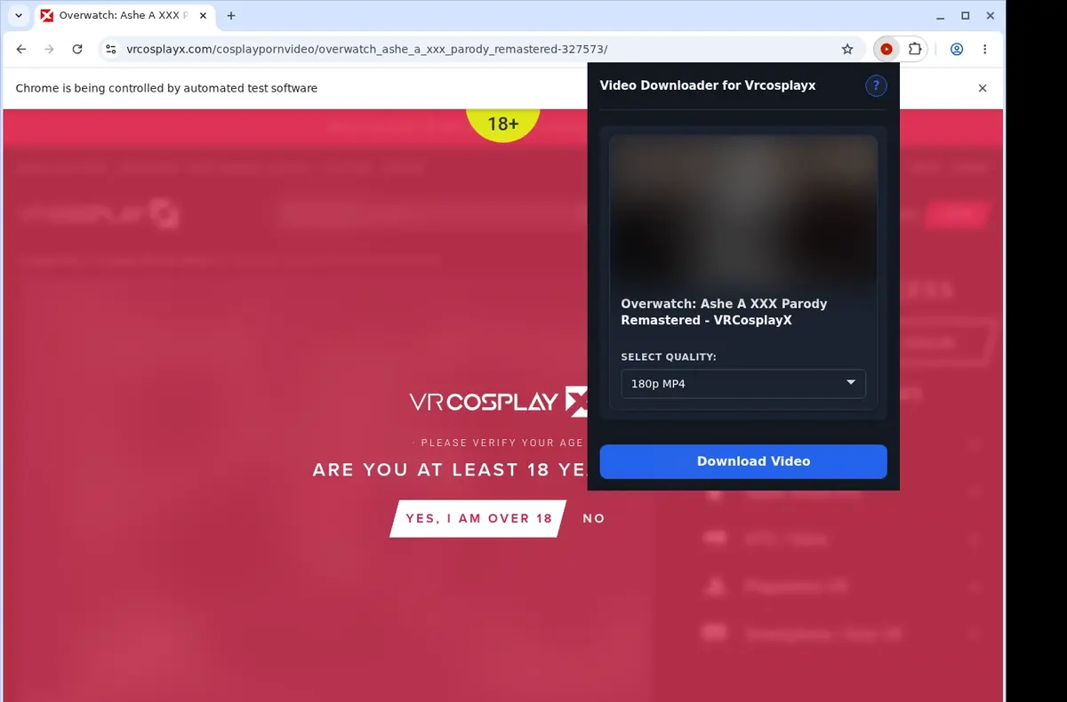 VRCosplayX Video Downloader showing detected media ready to download