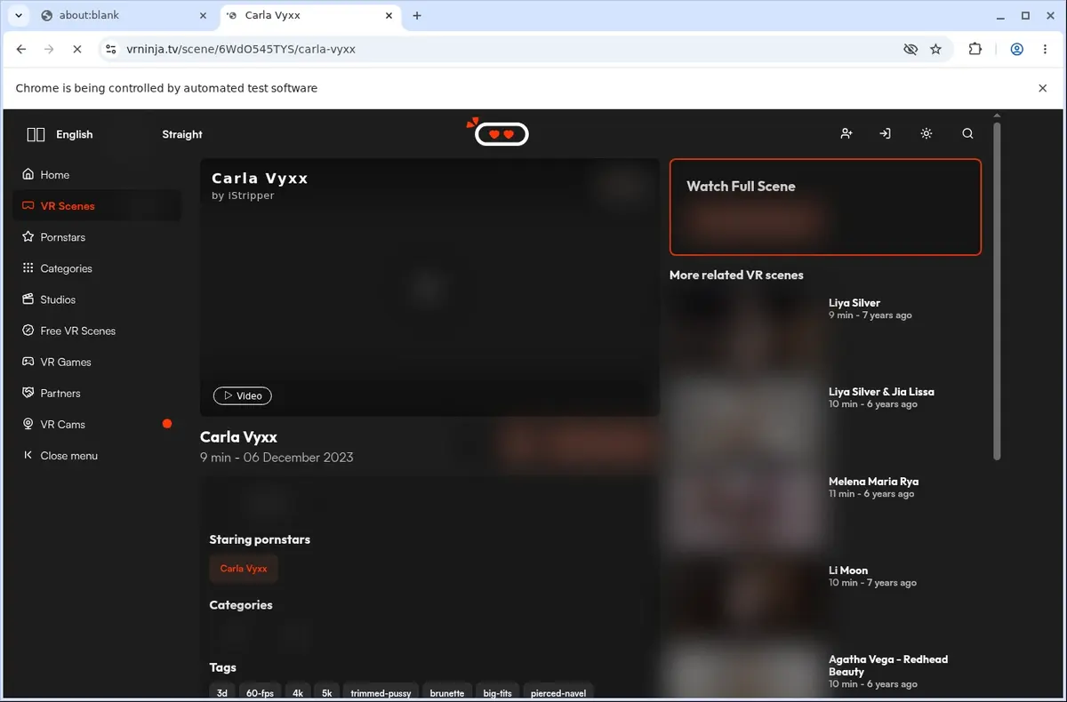 VRNinja Video Downloader page open in the browser