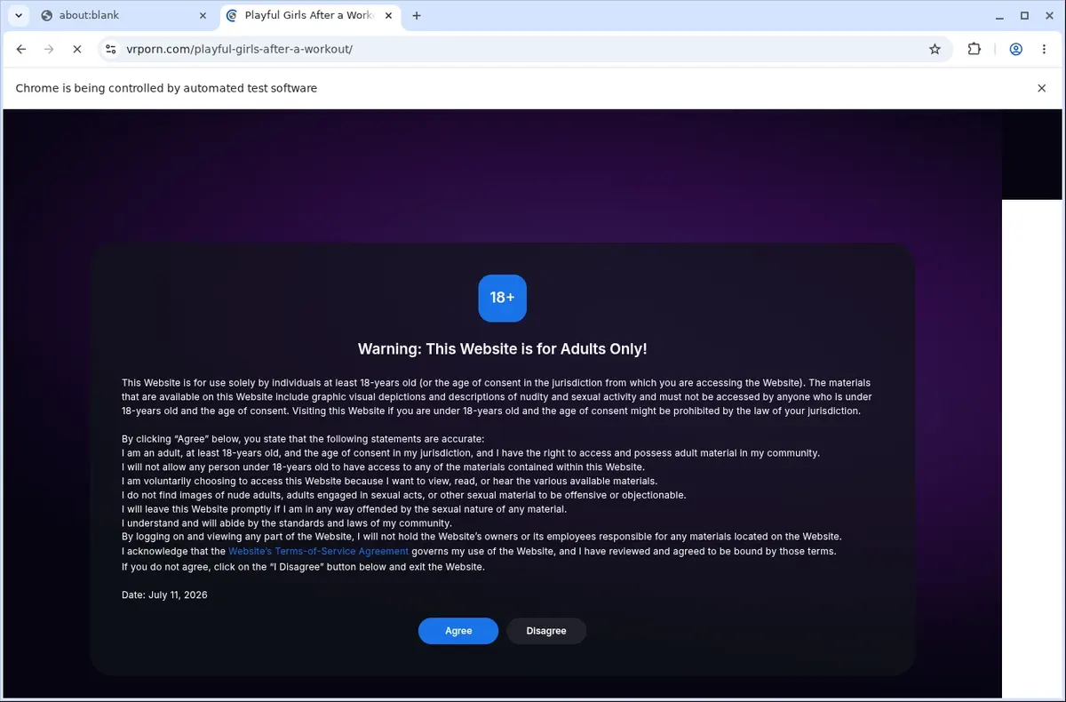 VRPorn Video Downloader page open in the browser