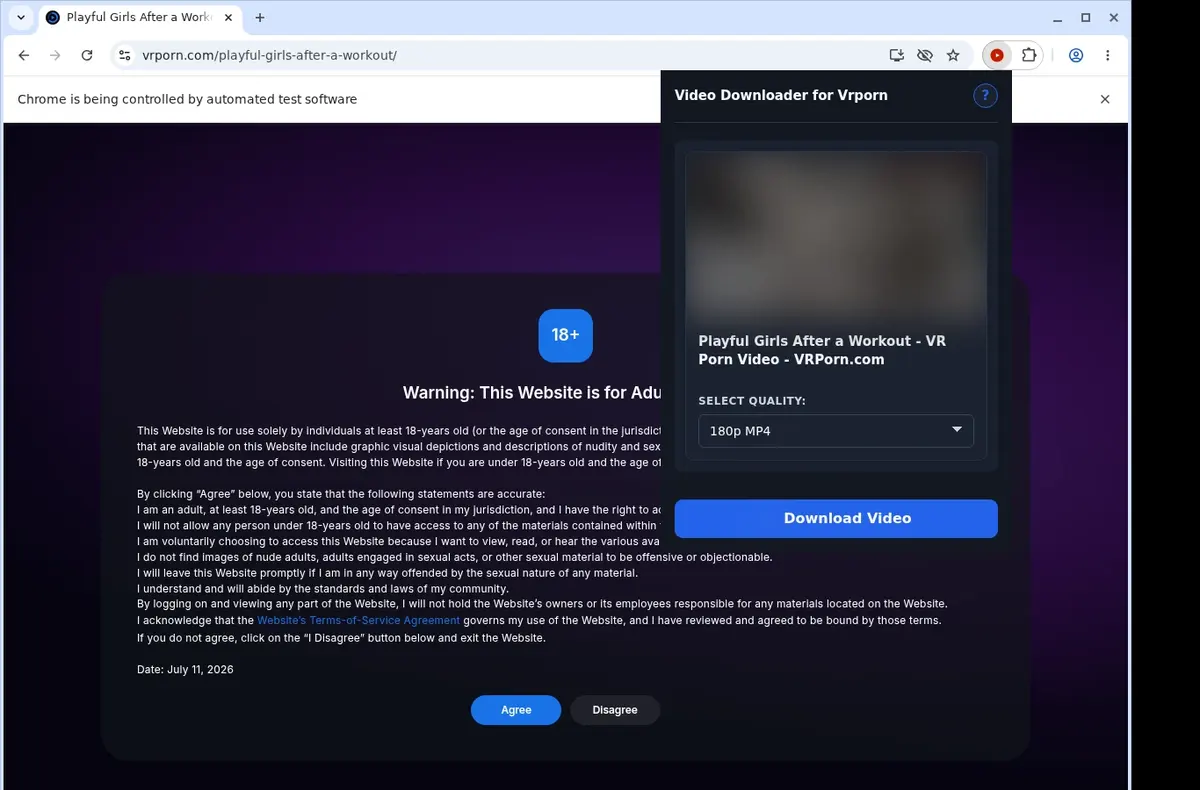 VRPorn Video Downloader showing detected media ready to download