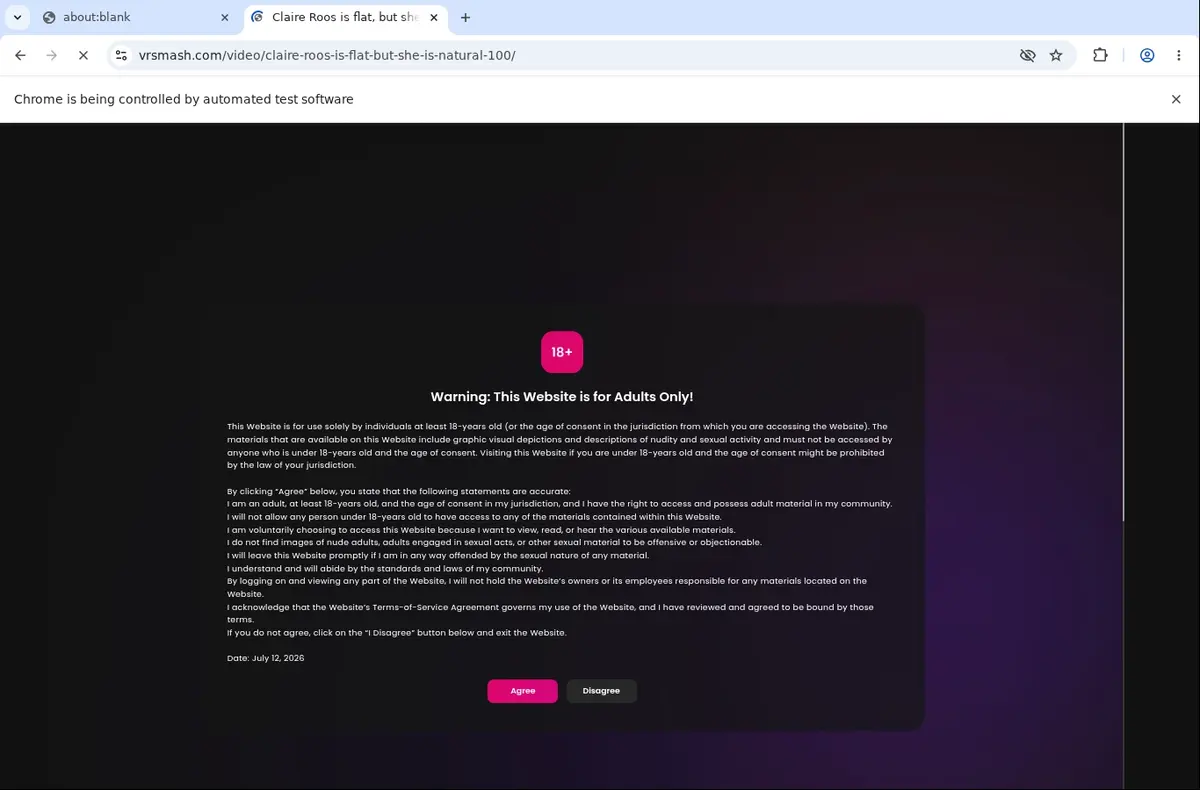 VRSmash Downloader page open in the browser