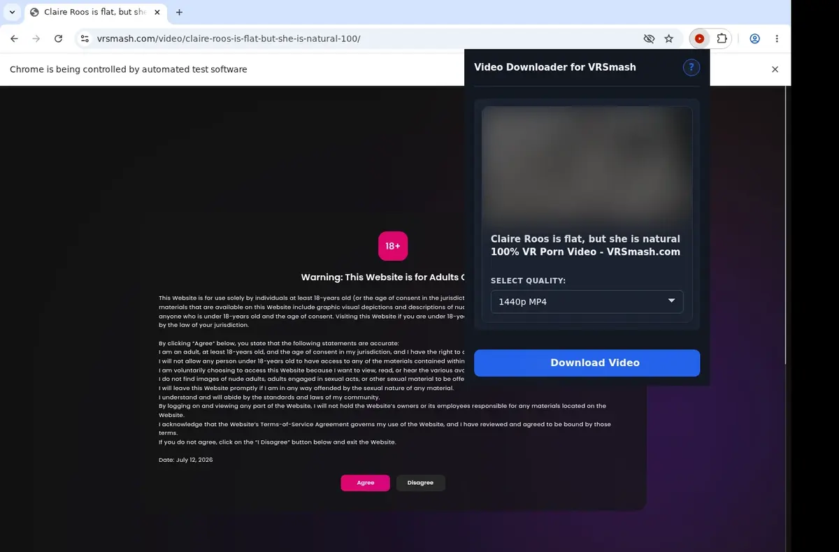 VRSmash Downloader showing detected media ready to download