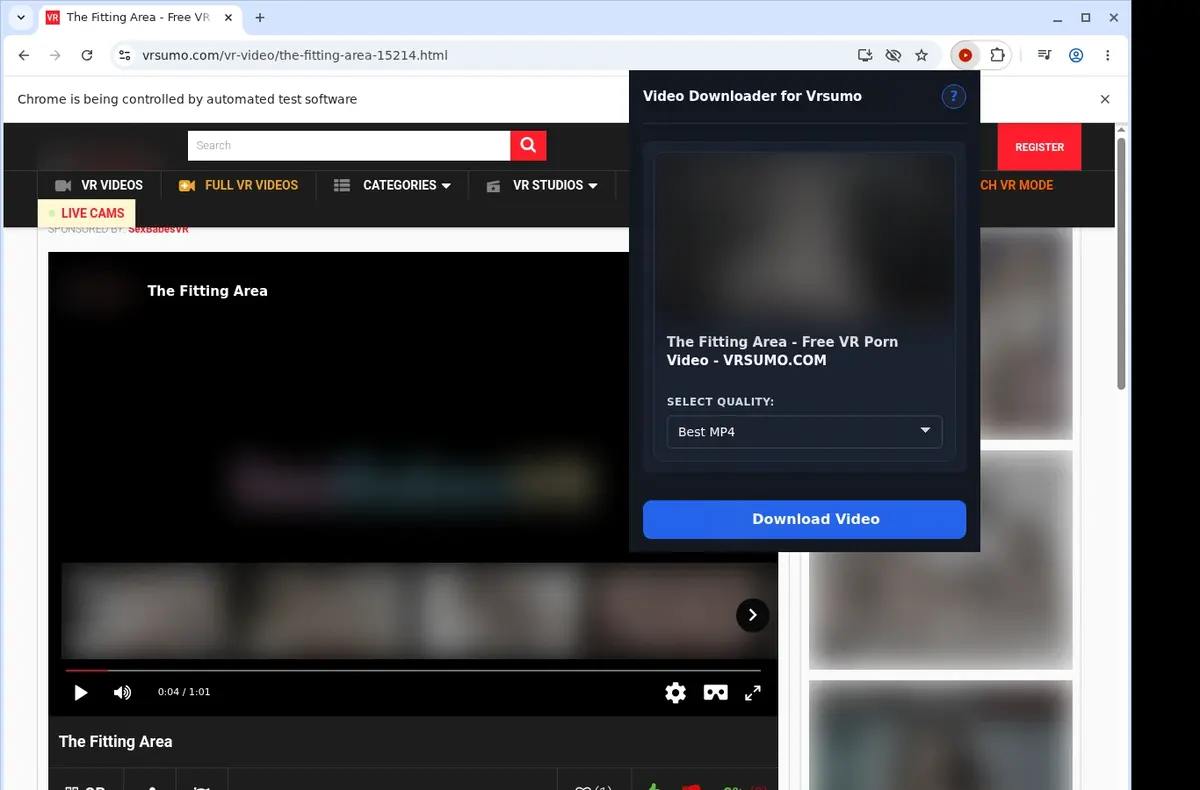 VRSumo Downloader showing detected media ready to download