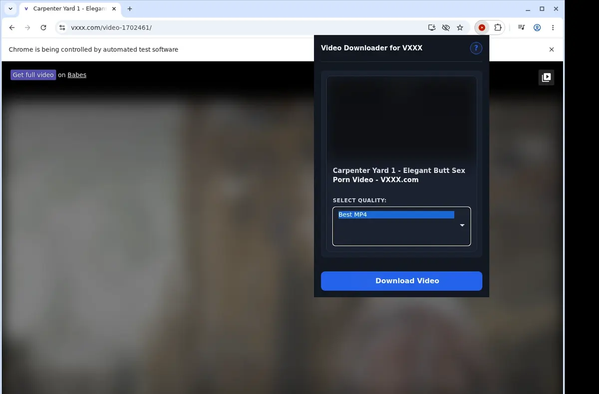VXXX Downloader showing detected media ready to download