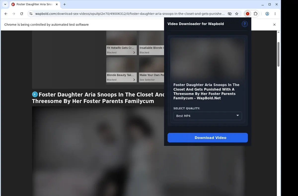 Wapbold Video Downloader showing detected media ready to download