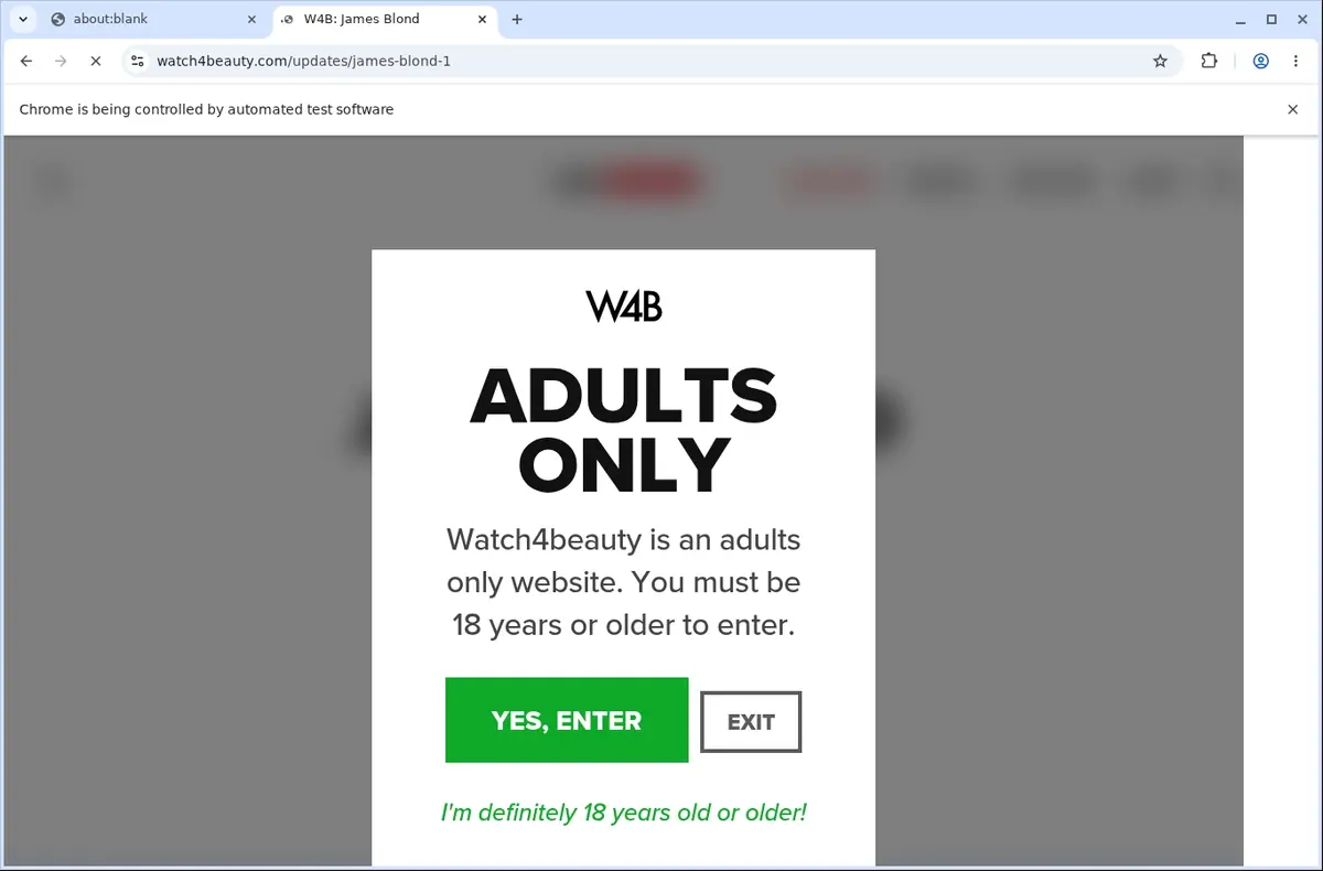 Watch 4 Beauty Video Downloader page open in the browser
