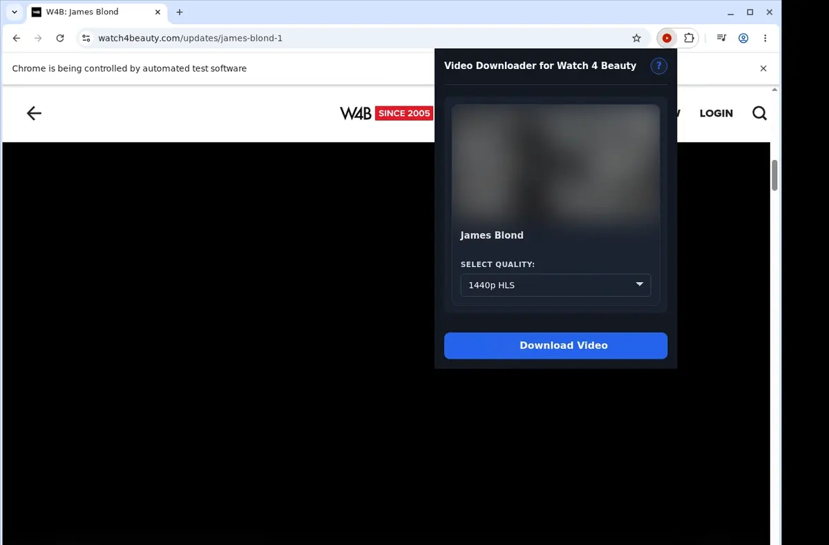 Watch 4 Beauty Video Downloader showing detected media ready to download