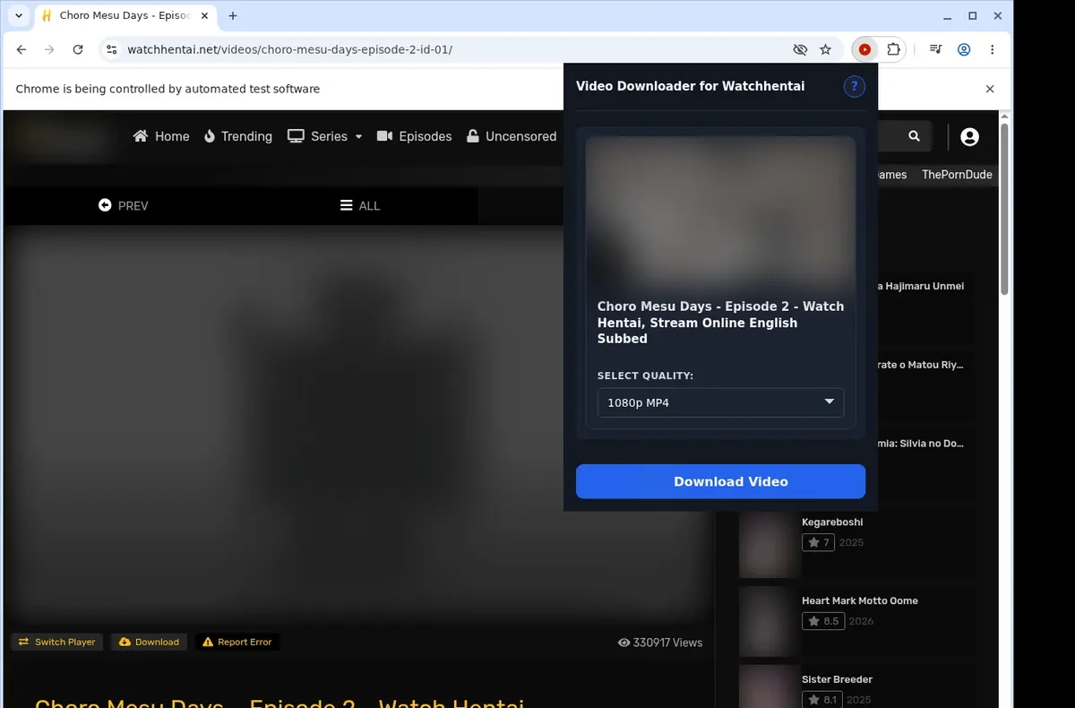 WatchHentai Video Downloader showing detected media ready to download