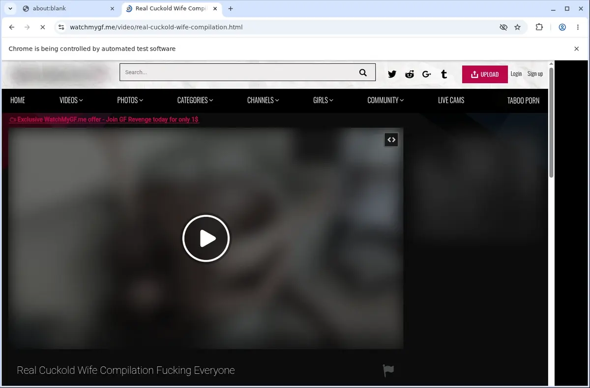 WatchMyGF Video Downloader page open in the browser
