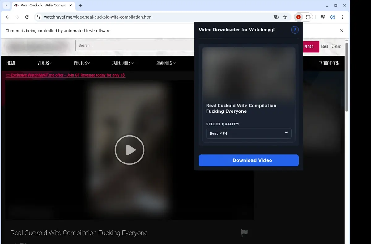 WatchMyGF Video Downloader showing detected media ready to download