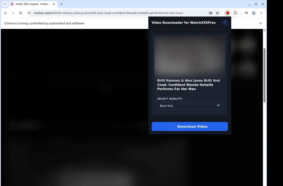 WatchXXXFree Downloader showing detected media ready to download