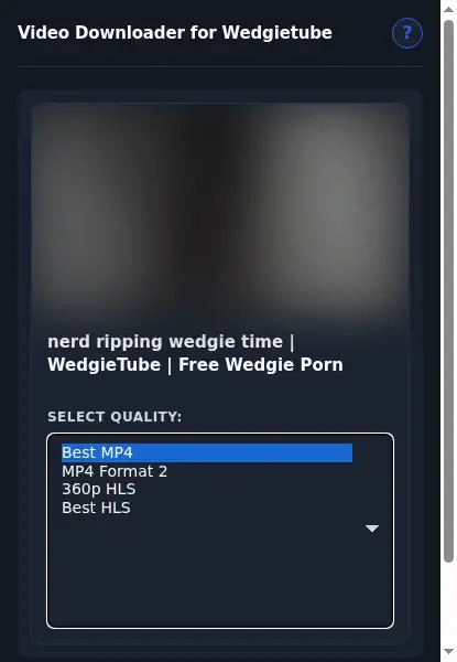 WedgieTube Video Downloader format dropdown options