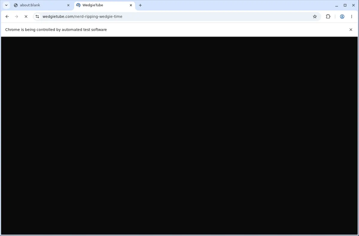 WedgieTube Video Downloader page open in the browser