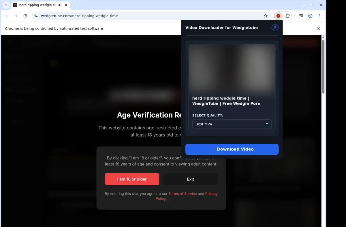 WedgieTube Video Downloader showing detected media ready to download