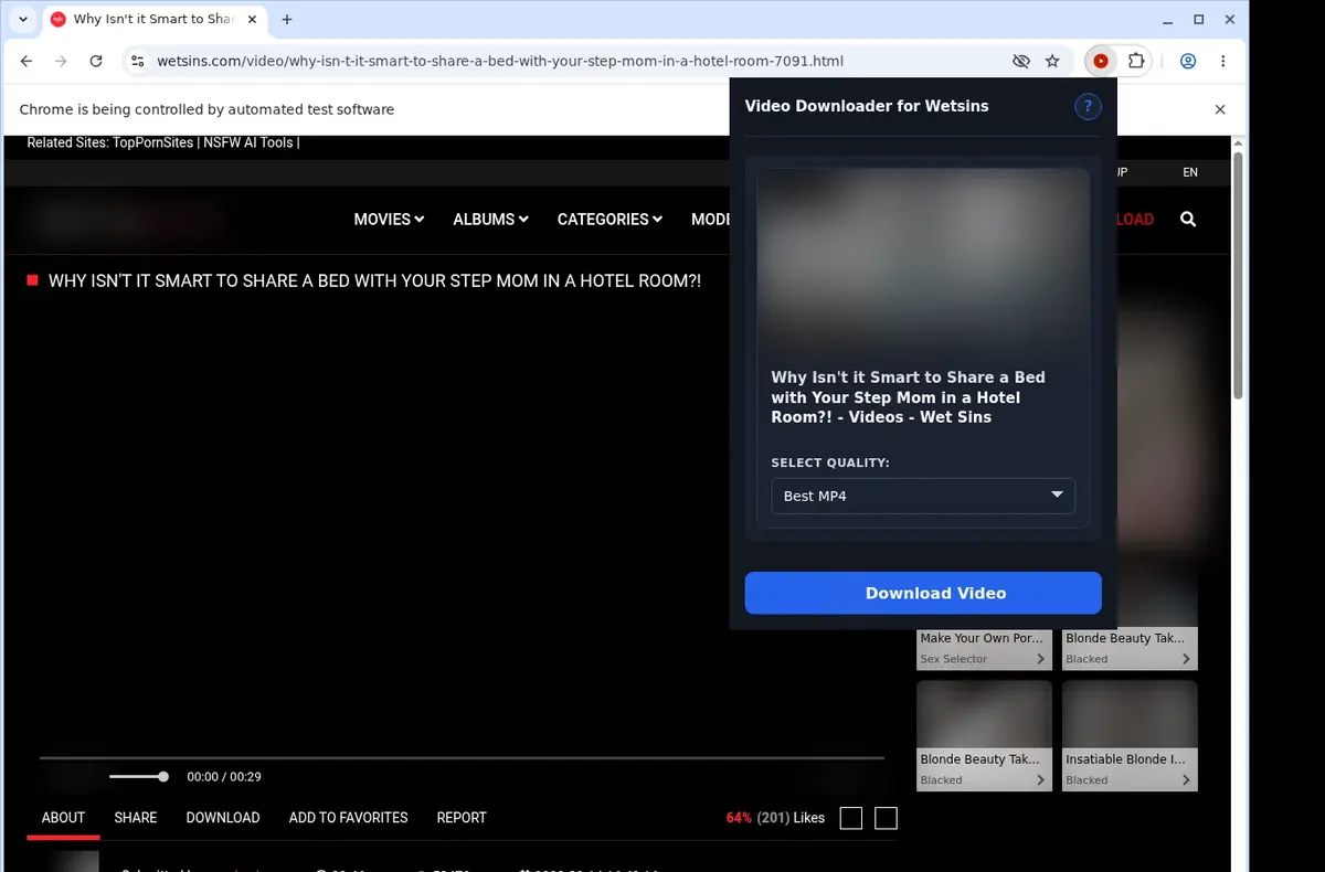 WetSins Video Downloader showing detected media ready to download