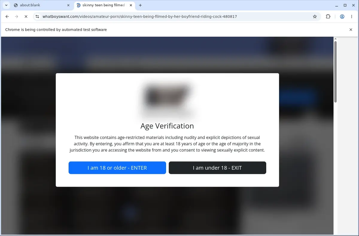 WhatBoysWant Downloader page open in the browser