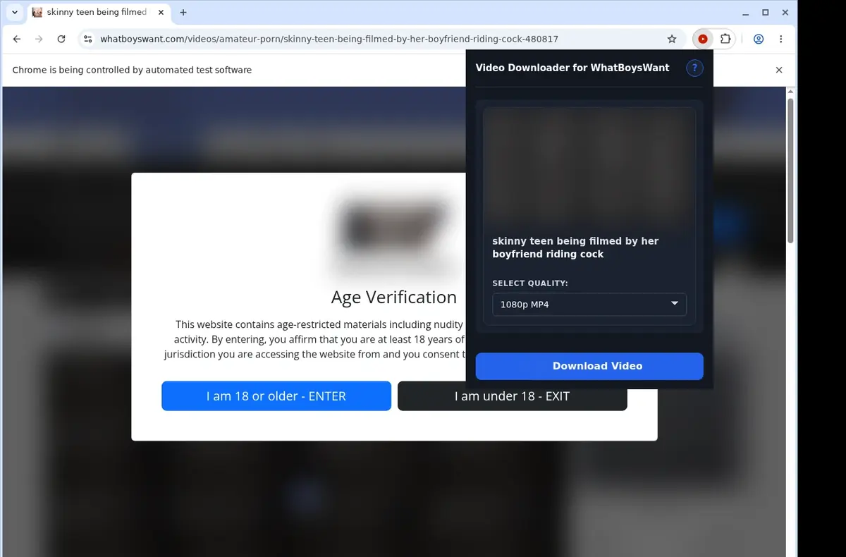 WhatBoysWant Downloader showing detected media ready to download