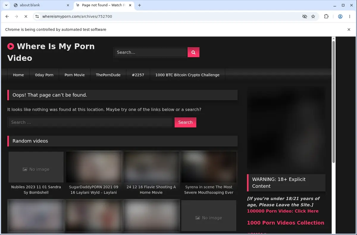 WhereIsMyPorn Downloader page open in the browser